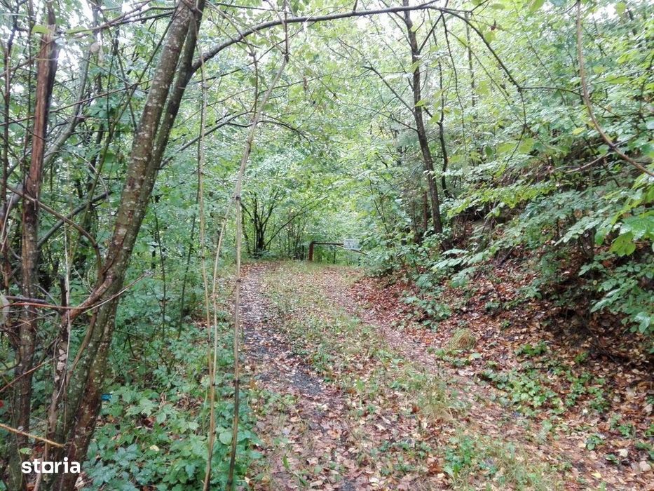 Proprietate rară în inima Retezatului – 5.700 mp teren intravilan