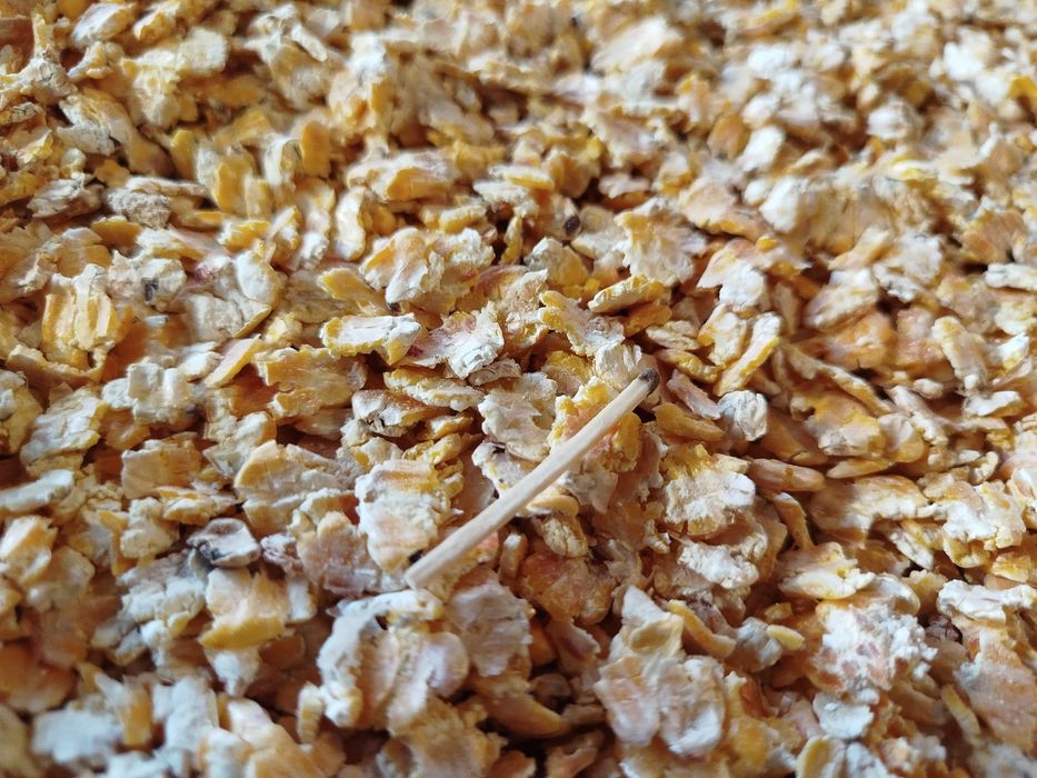 Хлопья плющенной кукурузы