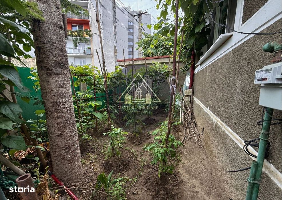 Casă de 2 camere, Medias