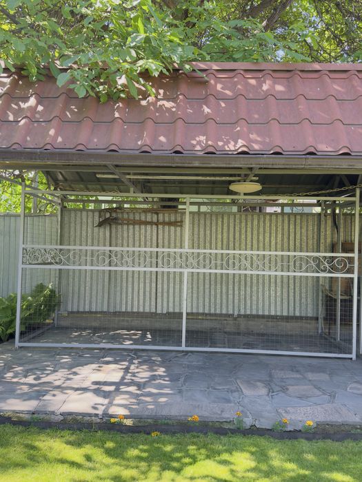 Вольер для собаки