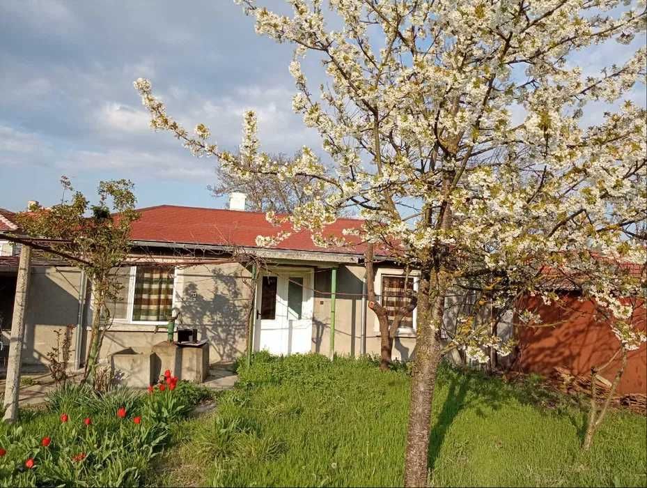 Продава се Къща в с. Подвис, Област Бургас - 116 кв.м за 302 €/кв.м - Снимка #11