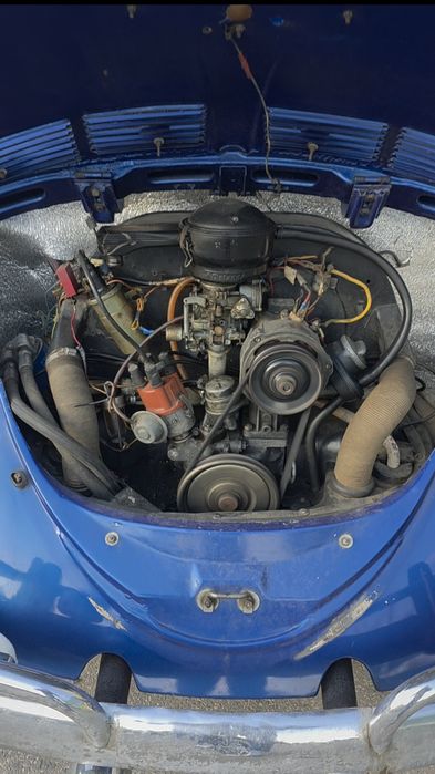 Motor kafer broscuta