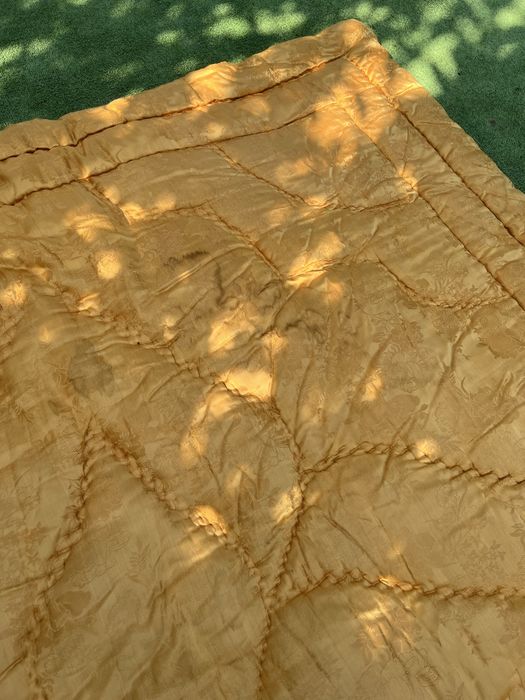 Plapuma / pilota cu melana