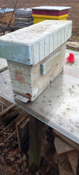 Vand roinite pt. Albine