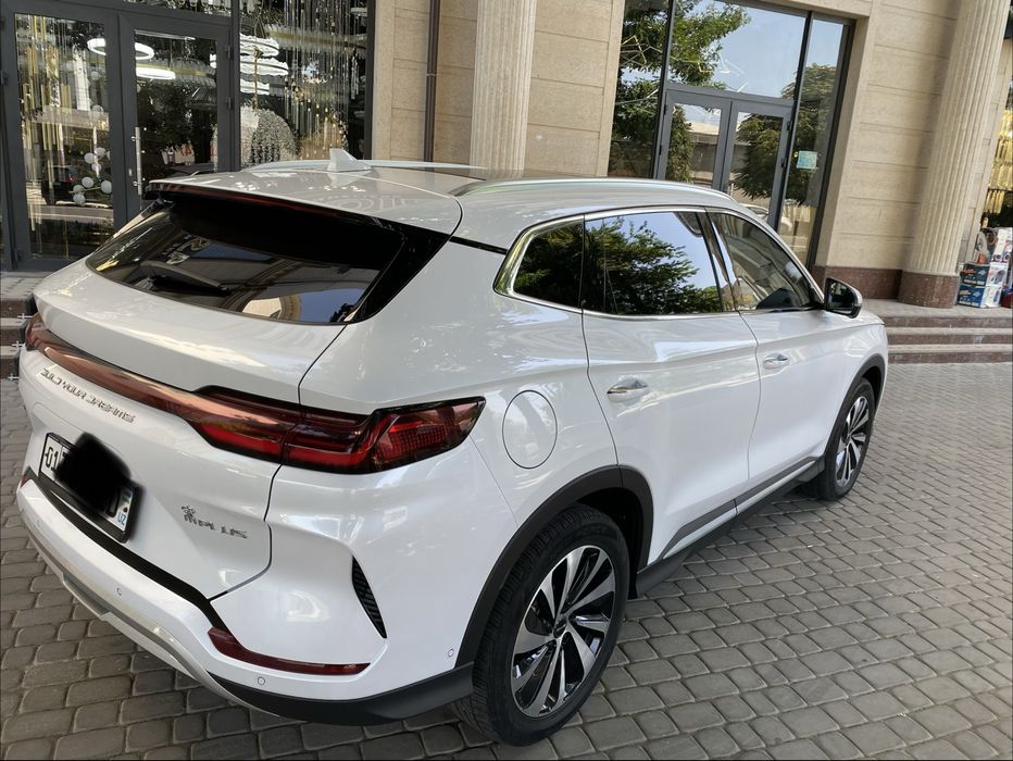 BYD fleshchip 605