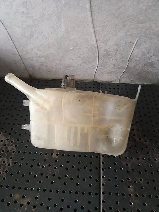 Vas expansiune renault megane 3 217100005r