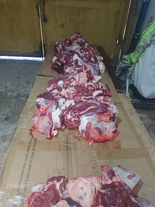 Семіз қашарлар сатылады 2100 теңге