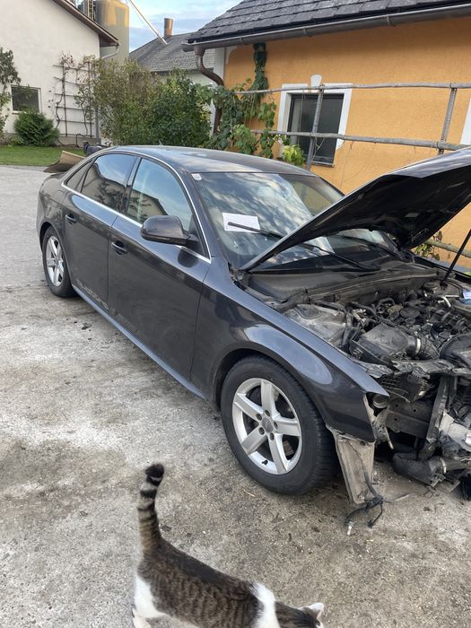 Usi dreapta fata stanga spate  , haion , , Audi A4 b8