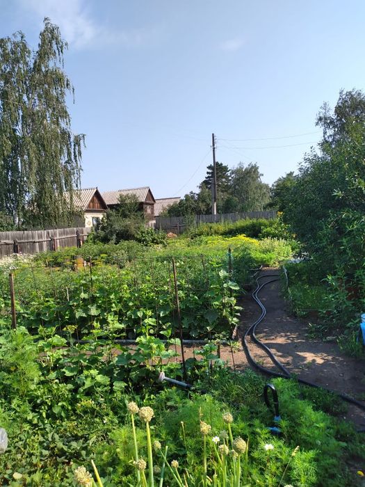 Продам дачу содовое общество строителей