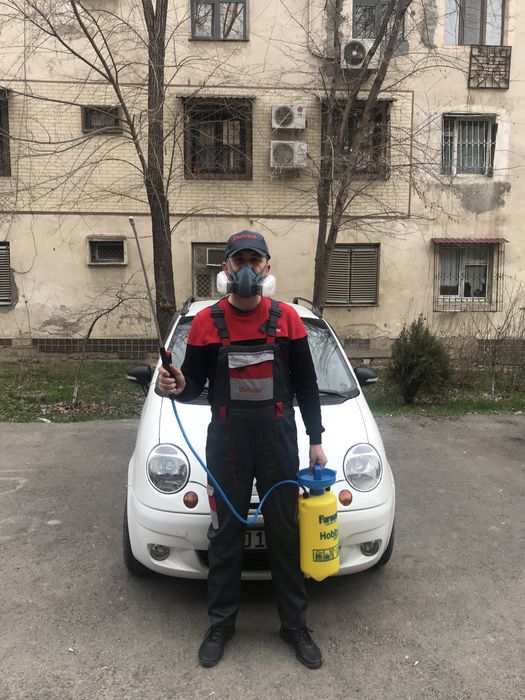 Дезинфекция дезинсекция дератизация  от насекомых