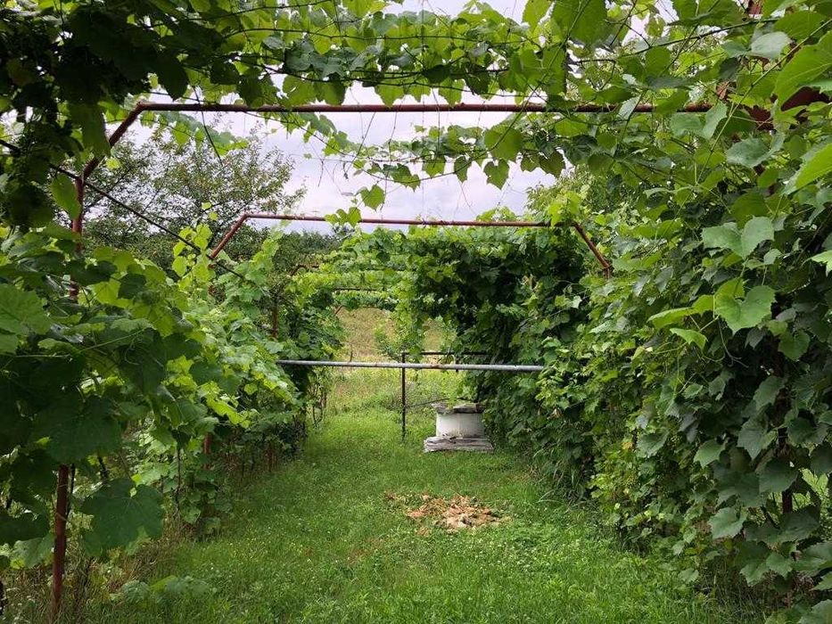 Casa si teren in satul Batoti (MH)