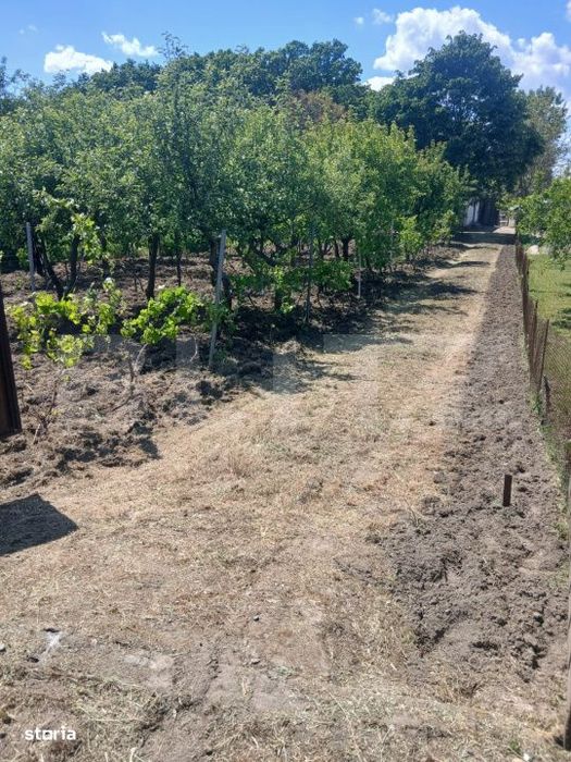 Casa de vanzare 800 mp curte, 32 mp utili, Bratovoesti