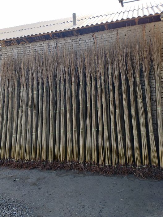 Terak koʻchat 800 soʻmdan