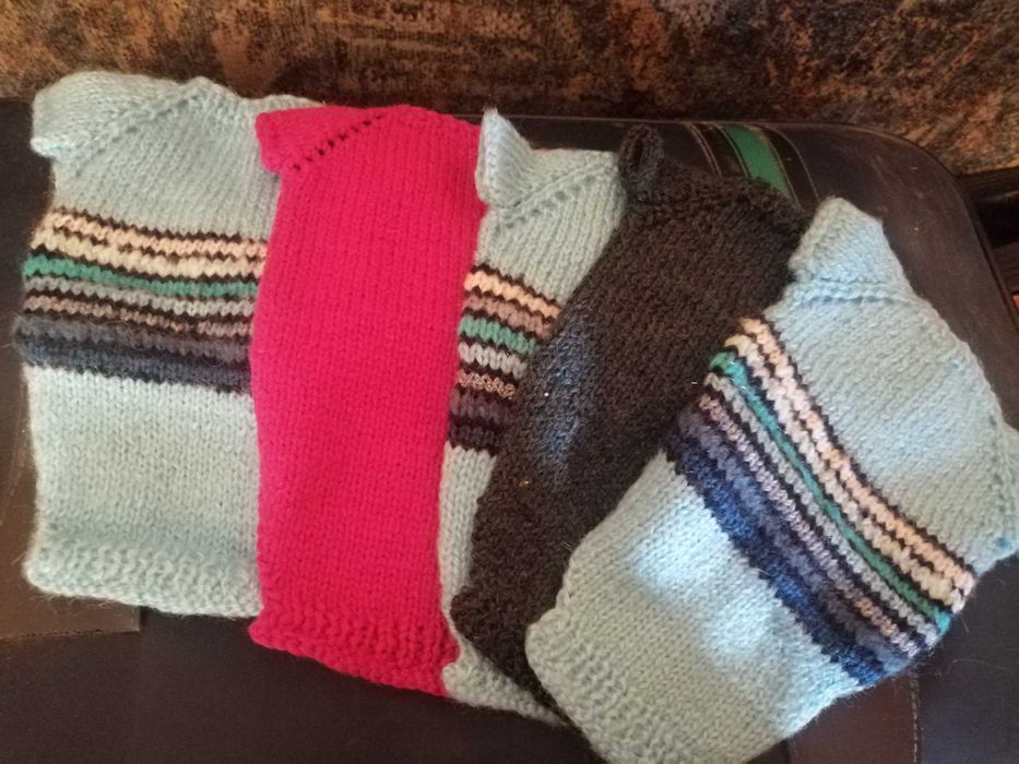 Hăinuțe pentru căței Chihuahua