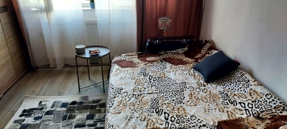 Garsoniera de închiriat strGranicerilor