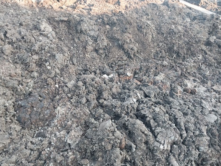 Товук ва мол дарси сотилади