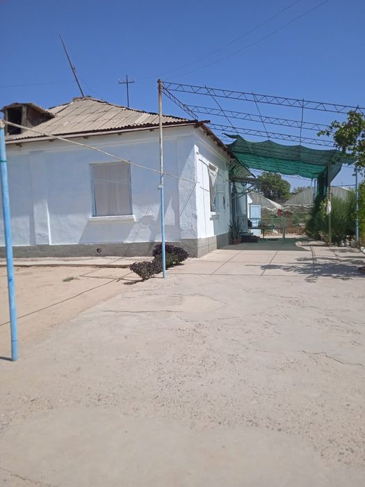 Chinoz tumani olmazor