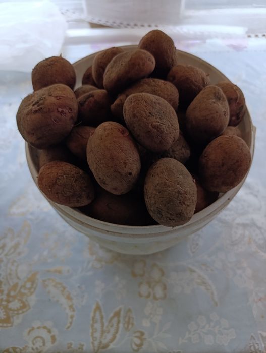 Продам картофель  100 тг ведро