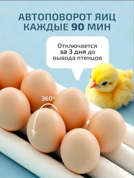 Inkubatorlar muddatli toʻlovga sotiladi 6 oyga
16..30..36..64..120.. t