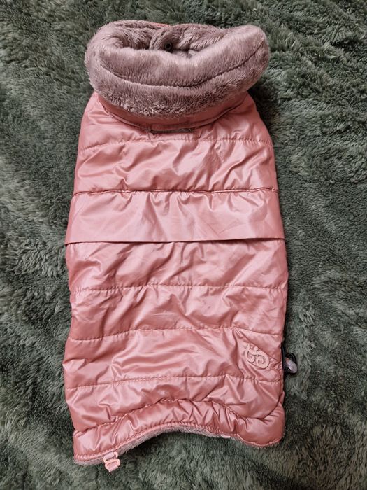 Дрешки за малко куче