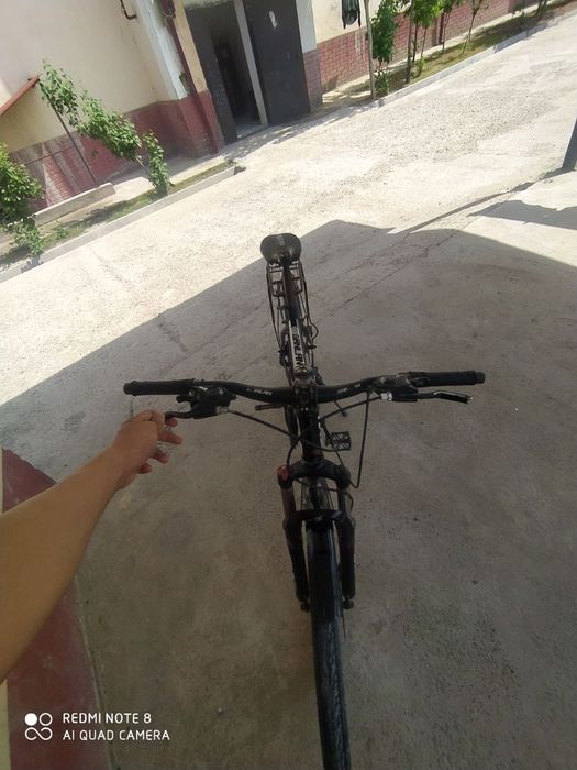 Velik sotladi narxi 850ming