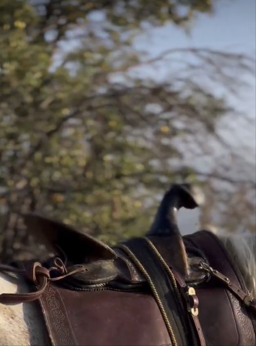 Ер тоқым, ер токым, седло