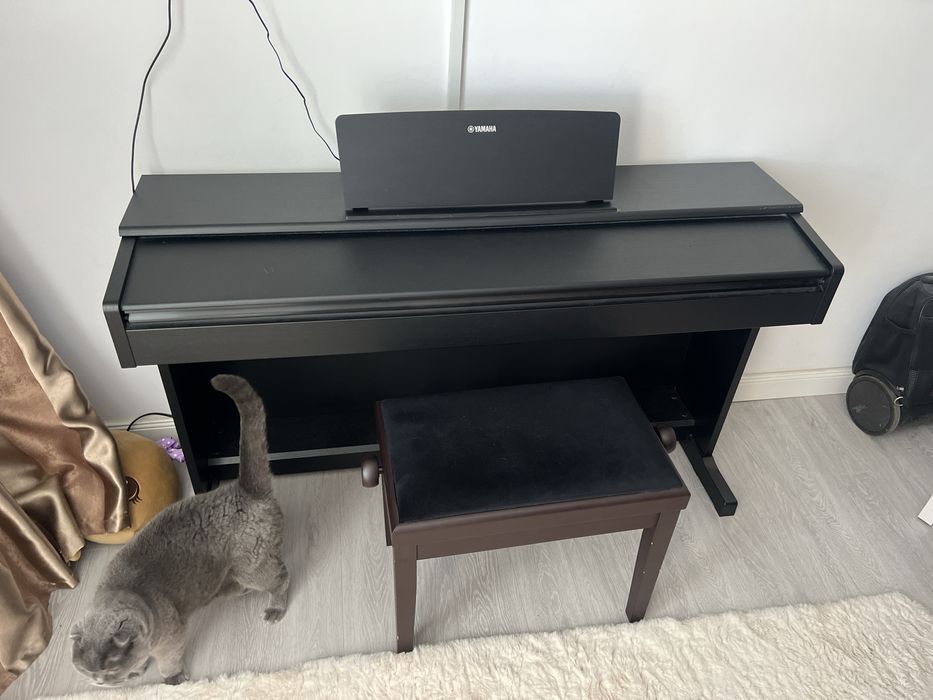 Pian Digital Yamaha Arius YDP-144B