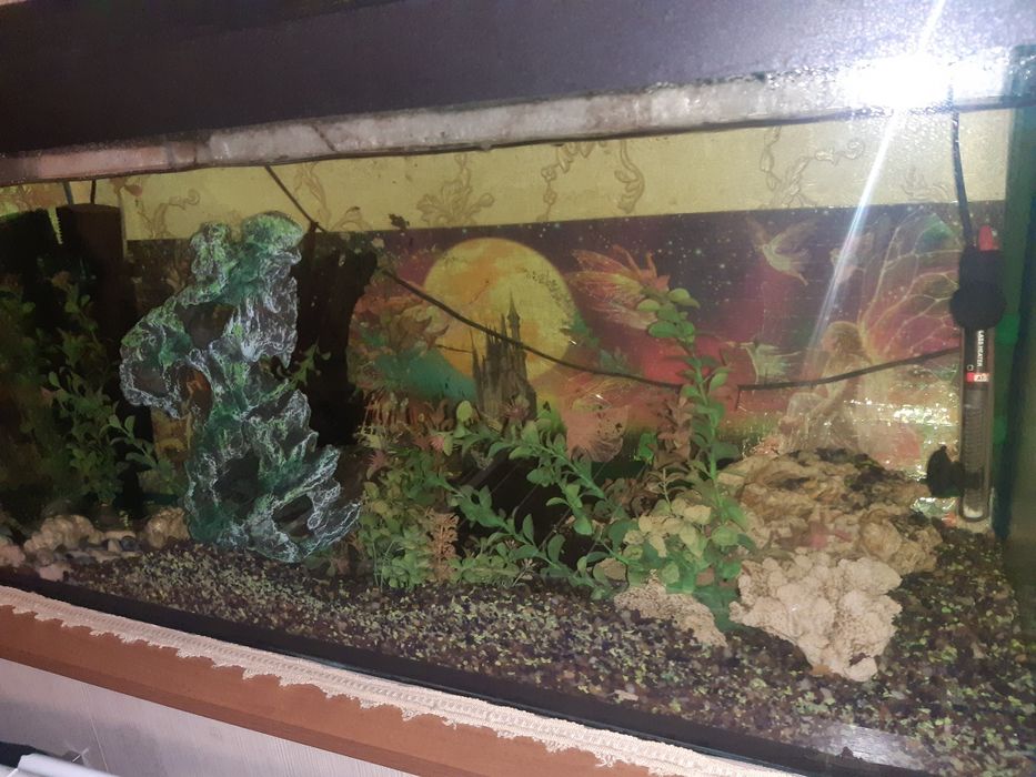 Продам аквариум 240л.