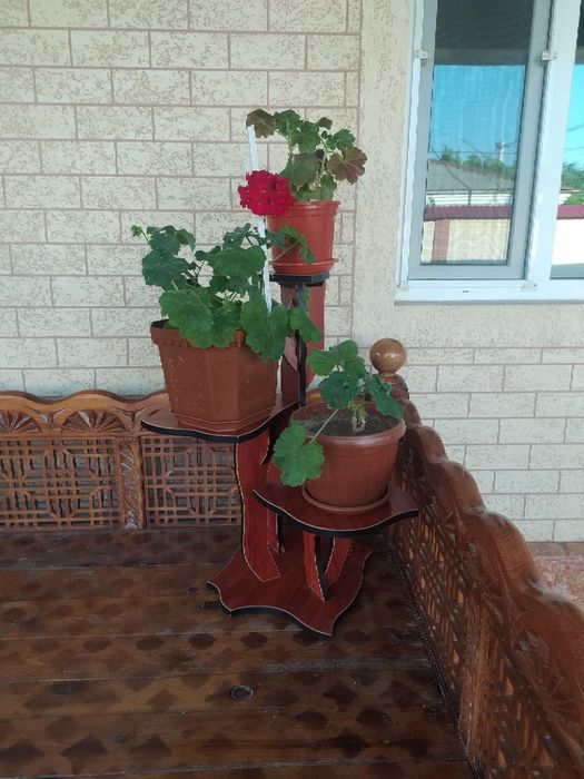 Подставка для цветов. Высота 1 метр, на 3 горшка. Б/у, как новая.
- По