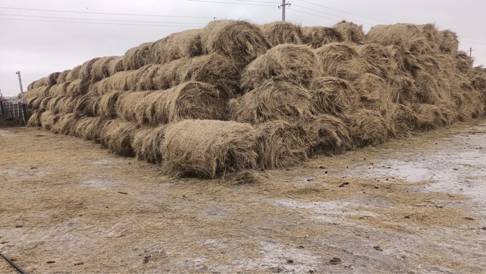 Продам солому ,сено