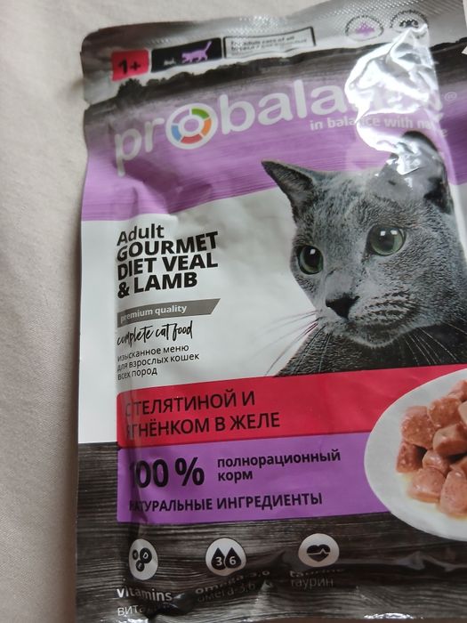 Корм для кошек не дорого