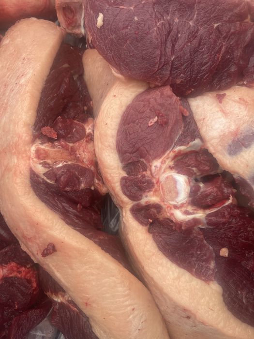 Мясо конина по 3000 возраст 1,7  2 года доставка до двери по частям