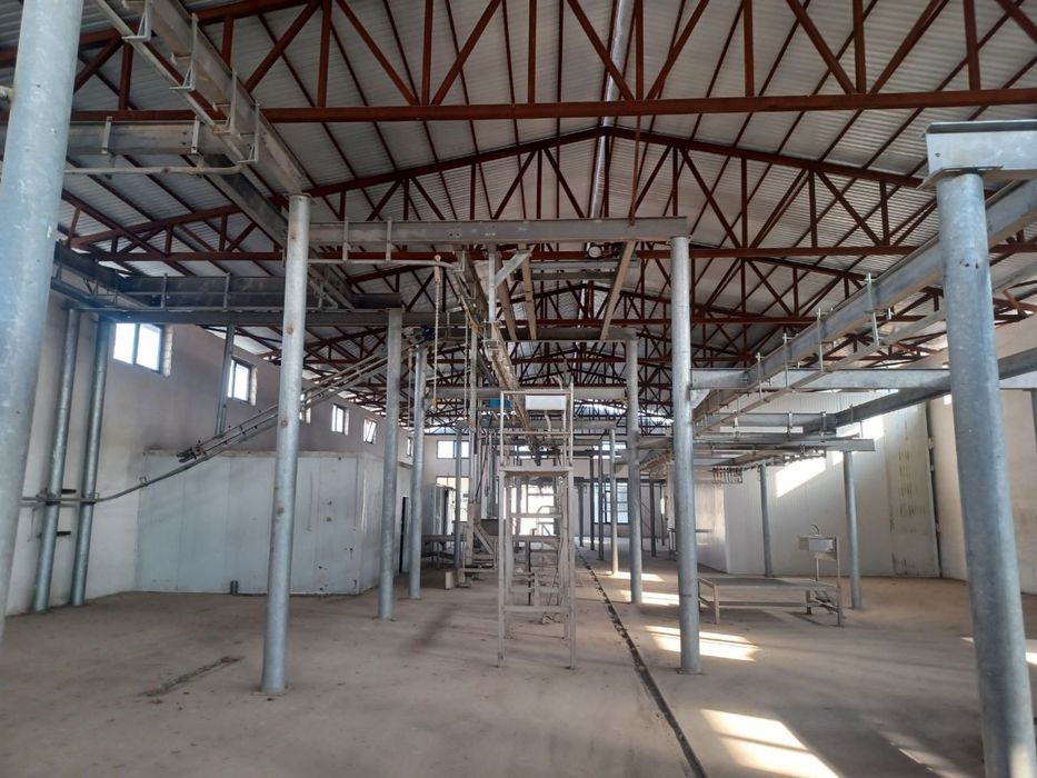 Molxona va bino inshoat