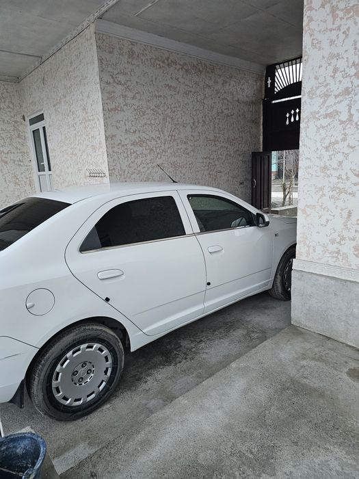 Koblt 2paditsa yurgani 135000 xolol faqat naqtga