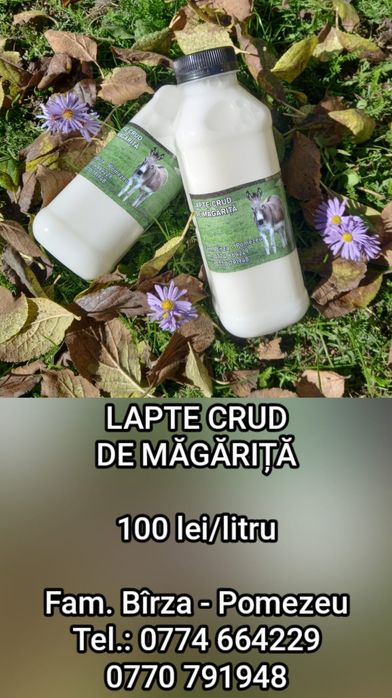 Vind lapte de magarita