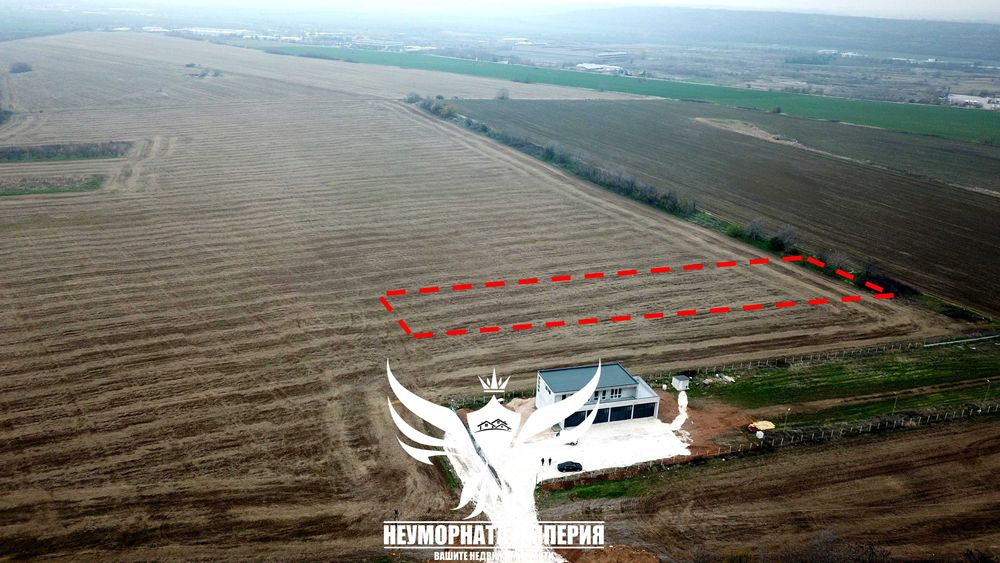 Продава се Парцел в Асеновград - 7000 кв.м за 12 €/кв.м - Снимка #2