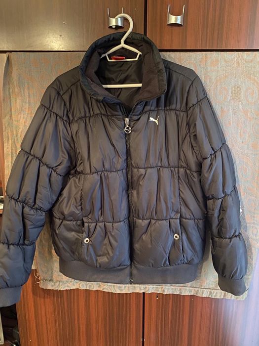 Мъжки якита  на пума