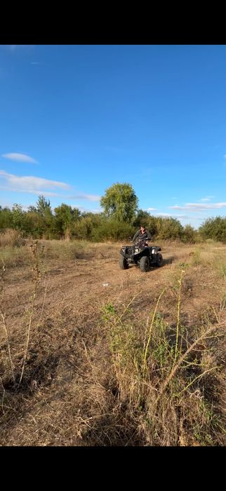 Grizzly de 500 cu acte