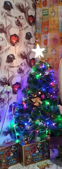 Продам ёлку, без игрушек.