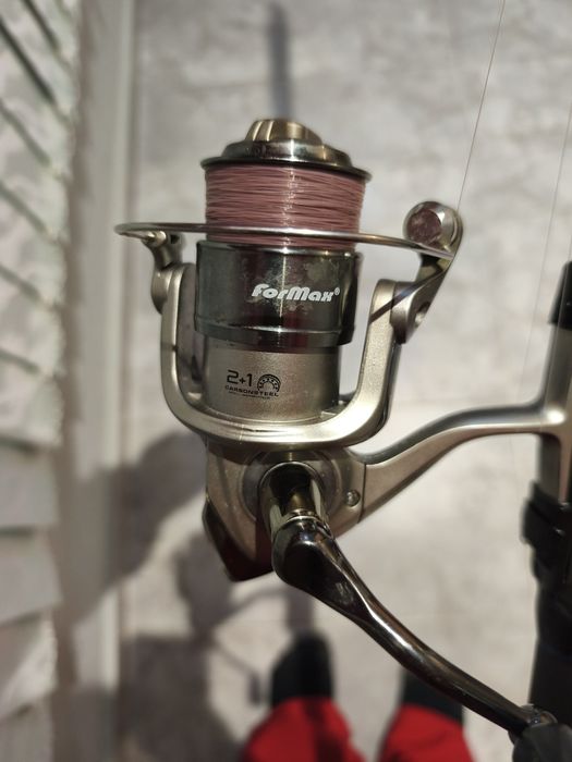 Болонезе и макара