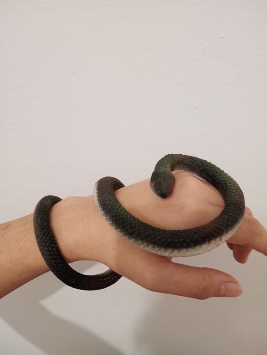 Реалистичная змея.