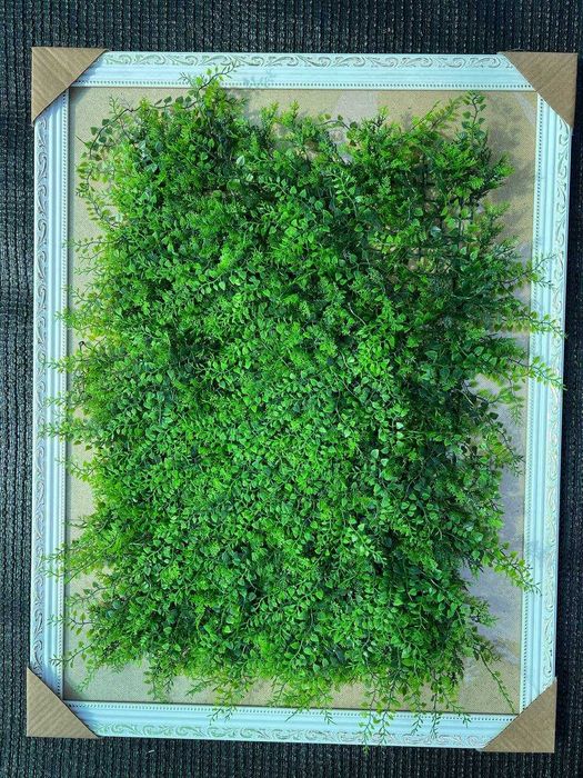 Фитостена в Ташкенте - Коврик на стену