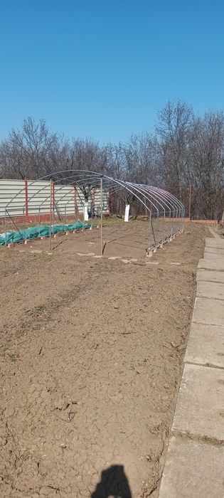 Servicii complete de grădinărit