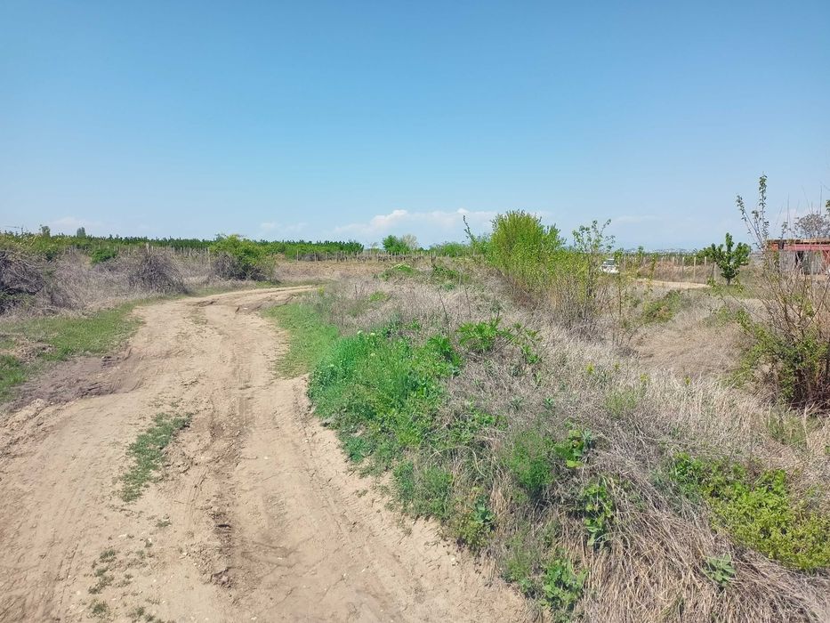 Продава се Земеделски имот в с. Брестник, Област Пловдив -  кв.м за 27000 €/дка - Снимка #3