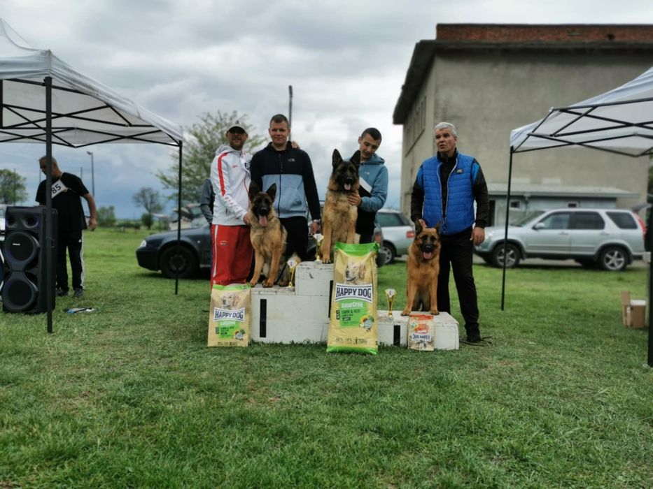 Продавам Немски Овчарки