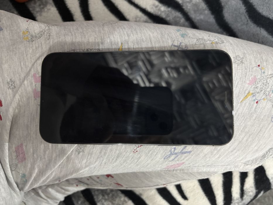 Iphone 12 Pro Graphit