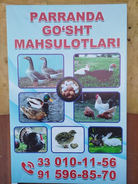 Parranda goʻshti mahsulotlari