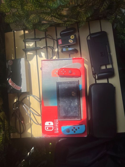 Nintendo switch