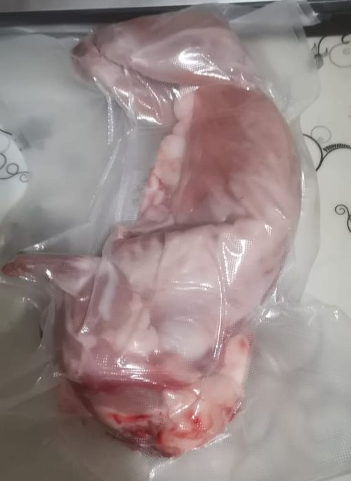 Продам мясо кролика