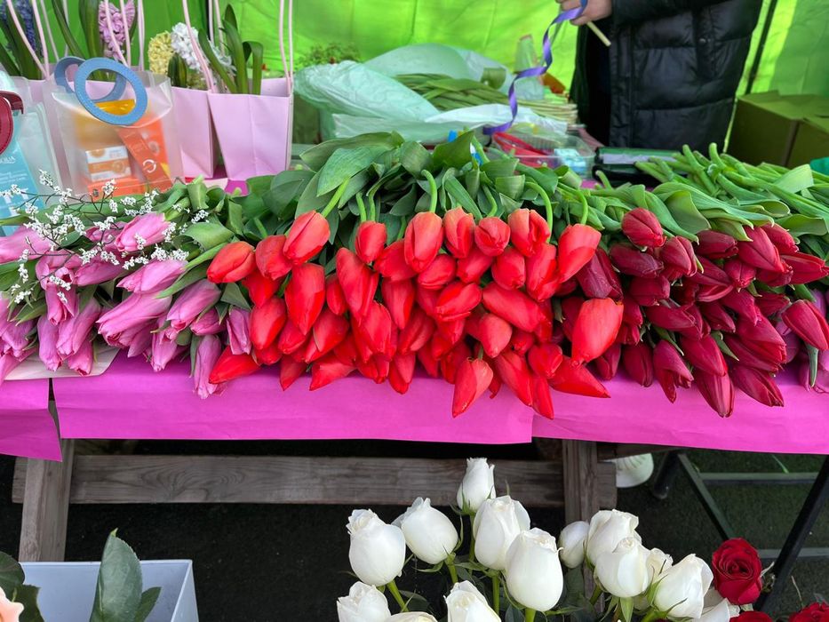 Тюльпаны 8 марта